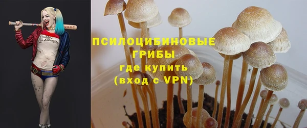 СК Бугульма
