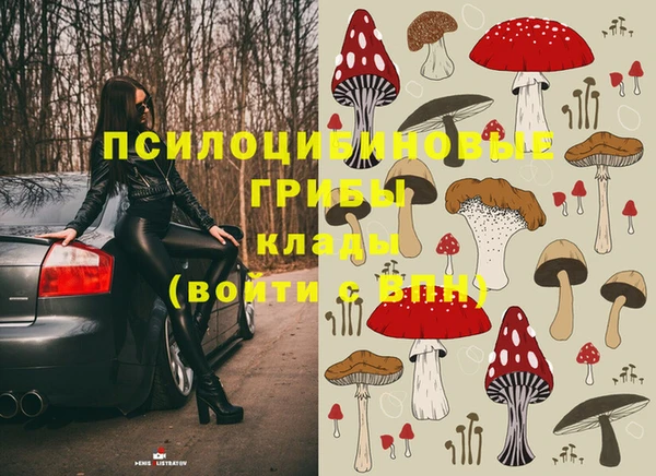 spice Бронницы
