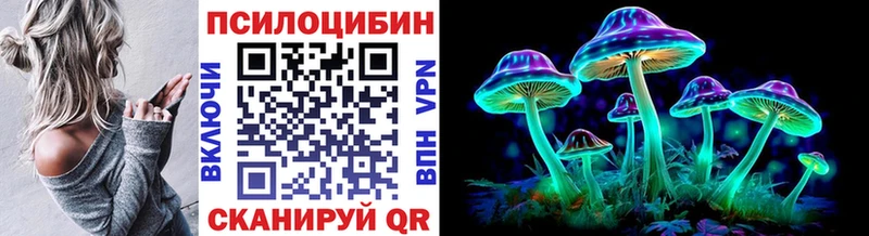 Купить  Тавда  Псилоцибиновые грибы Cubensis 